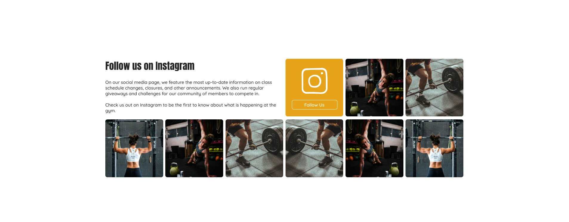 website design for instagram portfolio